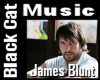 James Blunt - Goodbye my