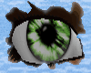 S* Green Eternity