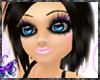 (�) Black Beauty ~ Neko