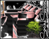 +SS+ Captivation Bundle