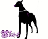 pitchblack pinkheart dog