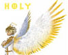Holy Silver&Golden Wing