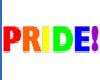 flashing pride
