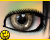 [ Living Eye Original