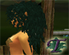 Evergreen Curls