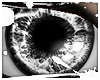 [D� eJewl Lollis M