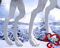 Paws- Wolf