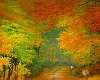 fall background