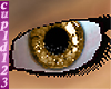 Missing Image