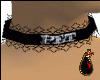 Pet Collar