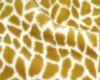Yellow/White skin rug
