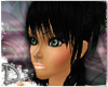 -D- True Black Miwa