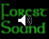 {T}fx Forest Sounds
