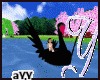 Royal BlackSwanGardeLake