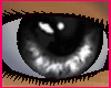 Truthful Eyes