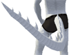 White Dragon Tail (M+F)