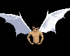 [XP] Pure White Wings