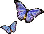 sticker_24597857_38794028