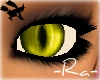 -Ra-Lime Yellow Cat eyes