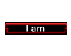 What I am