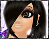 (�) Black Beauty~ Prslla
