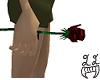 Single Blood Rose