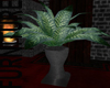 Click on this image for Green Plant Black