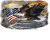Patriotic eagle backdrop