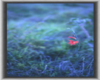 (RS)Blue lotus