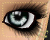 [H] Long Black Lashes