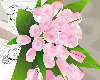 [Tguu]pinkwedBquet