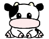 cute lil cow