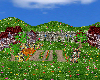 SPRING JOUSTING ARENA