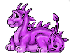 Purple Dragon