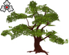 tree with leaves.