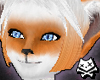 OrangeCreme Pockitty Set