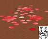 Red Rose Petals