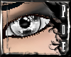 (Poe) DuoVision_BlkGray