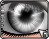 *L� eKlips Silver M