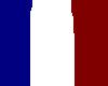 French Flag Eyes