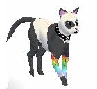 Panda Cat