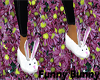 Funny Bunny