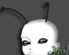 Antennae for Urbo