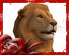*D* Lion