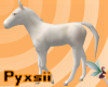 White Foal
