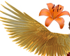 Fire Phoenix Wings