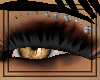 V2MakeOverEyes