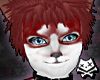 CinamnApple Husky Paws M