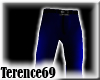 69 Chic Pants - Blue