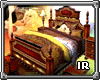 [IR] classic dream